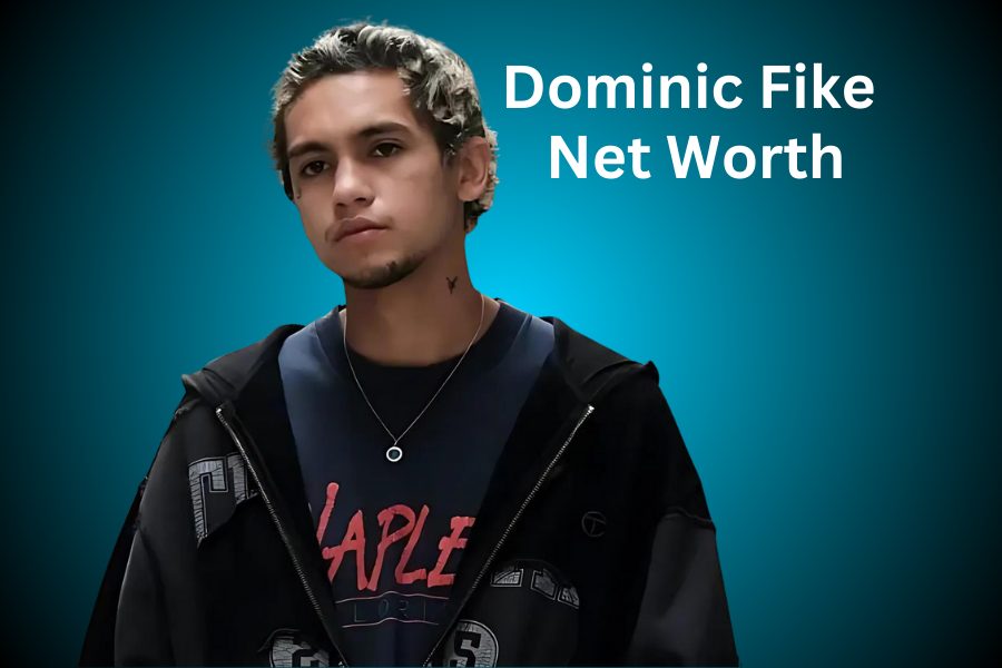 Dominic Fike Net Worth 2024