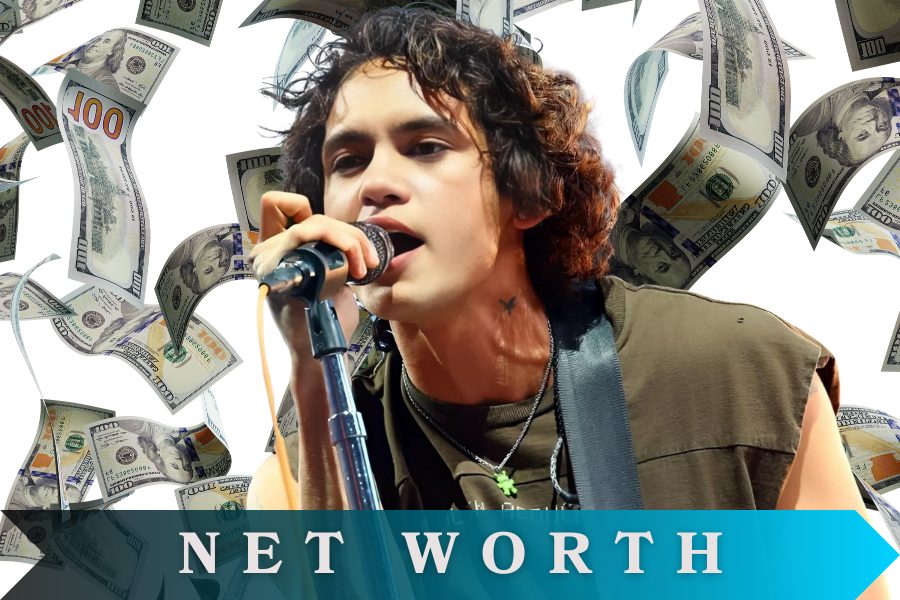 Dominic Fike Net Worth